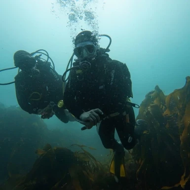 Sound Diving Gift Voucher - Try Scuba